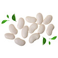 New crop white kidney beans Hot selling