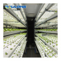 Container indoor farm with hydroponics system