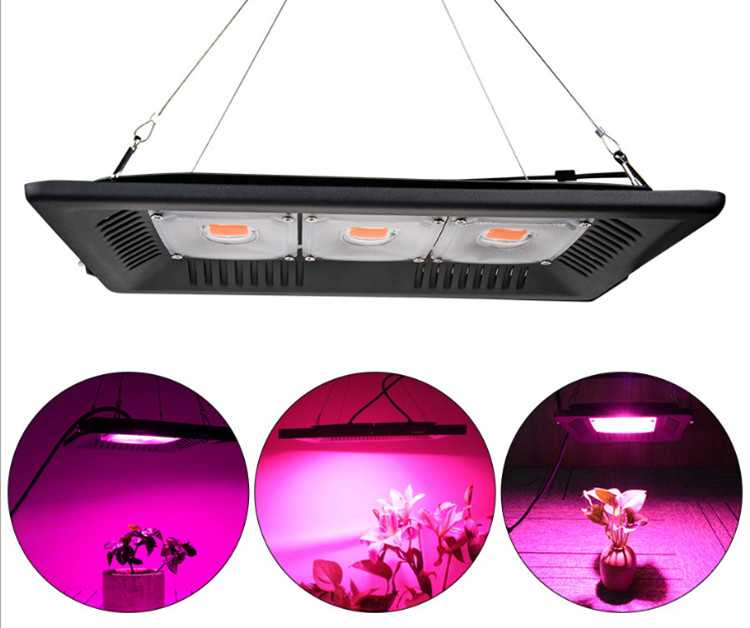 cob led grow light uk