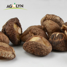 OEM Factory price Dried Shiitake Mushrooms High Quality Dried Mushrooms