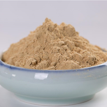 Ginger Powder Dehydrated Vegetable Powder