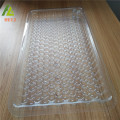 Customized Multi-hole clear extra large deep plastic vial trays