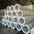 sell high quality Galvanized low carbon steel wire