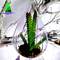 transparent glass bubble round shape Hanging Glass Terrarium