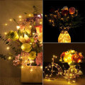 Waterproof Warm White Mini Fairy LED Copper Lights