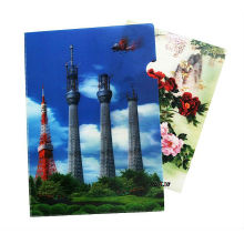 Plastic PP File Folder with 3D Effect Lenticular Printing