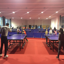 Surface de terrain de tennis de table roulante en PVC