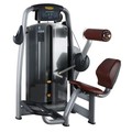 Popular Gym Fitness Equipment Back Extension