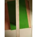 18mm Standard Plastic FIlm Faced Plywood Sheet