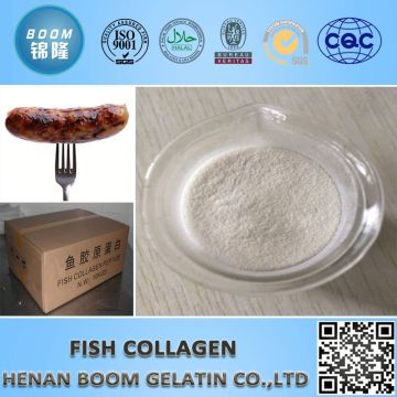 nano collagen