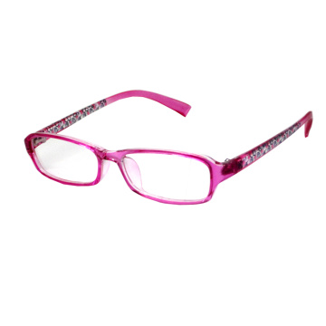 Professional Optical Frame with New Design (CP-045)