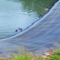 Geomembrana 1mm Fish Farming HDPE Pond Liner India