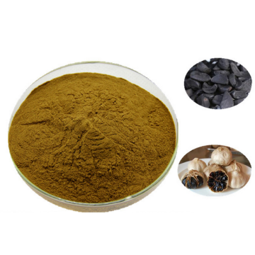 Pure Black Garlic Powder