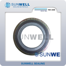 Graphite Spiral Wound Gasket with Outer Ring and Inner Ring PTFE Seat Ring