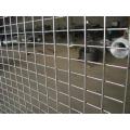 Low Price Galvanized Welded Wire Mesh/ PVC Coated Wire Mesh Fence Supplier