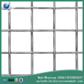 Galvanized Crimped Wire Mesh