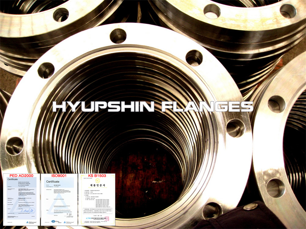 Hyupshin Flanges Socket Weld