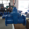 Resilient Seated Gate Valves