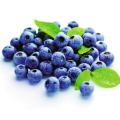 Factory Supply bilberry fruit powder