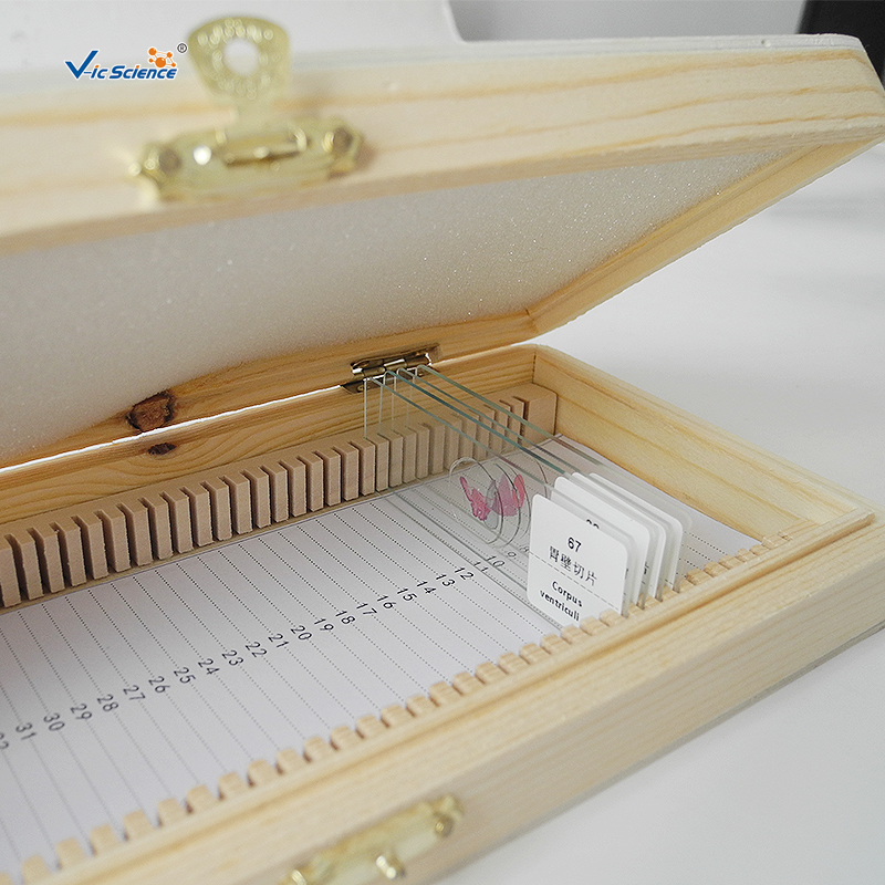 Wooden Slide Box