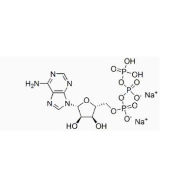 Adenosin 5'-Triphosphat Binatrium Salz CAS 987-65-5