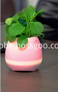 Mini Bluetooth speaker with flower pot