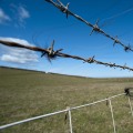 Barbed Wire for Security Fence