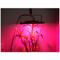 50W LED Grow Lights Full Spectrum Indoor