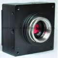 Bestscope Buc3c-36c Industrial Digital Cameras (Frame buffer)