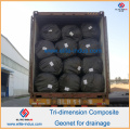 Virgin HDPE Geonet Core Geocomposite Drainage Net