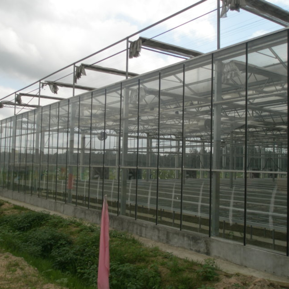 Steeple PC Greenhouse Steeple PC Greenhouse