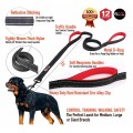 Dog Leash 6ft Long