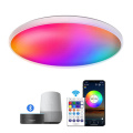 RGBW WiFi Smart LED Ceiling Light