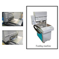Dongguan automatic pvc key chain making feeding machine