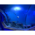 Aquário de tanque de peixes de túnel acrílico fundido ultra grosso