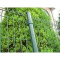 Hot-Dipped Galvanized / PVC Coated Fencing Panel