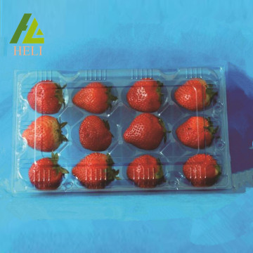 12 Compartments Plastic Strawberry Packaging Container