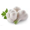 2016 New Crop Fresh Garlic