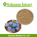 Ecdysone Extract 40% 50% 100% natural