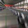 Construction Material Galvanized Steel Coil gi Steel Coil