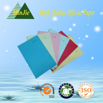 Factory Direct Sale 80GSM Color Copy Paper Printer Paper with A4 Letter Size