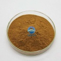 Factory Supply Natural Organic Lemon Peel Extract Powder