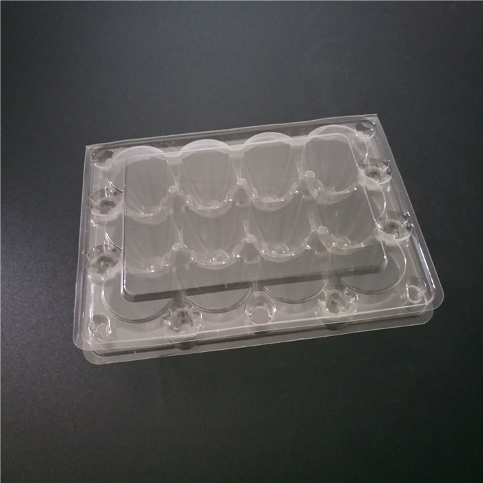 Plastic Coturnix Eggs Container