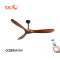 Modern ceiling fan with remote with 5 speeds