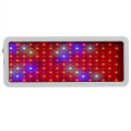 2000w High Power Grow Light para plantas de interior