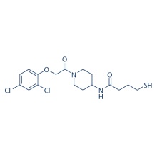 Inhibiteur K-Ras(G12C) 6