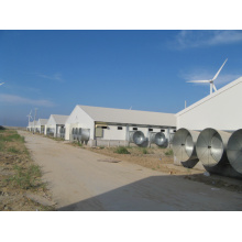 Hangar galvanisé de structure en acier pour le poulet de poulet