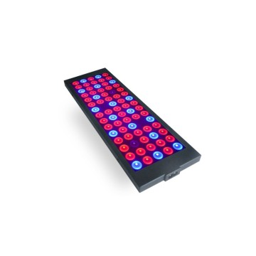 Pflanzen Sie Full Spectrum 40W LED Grow Light