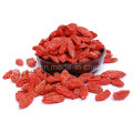 Mispel Großhandel chinesische Wolfberry Goji Beere