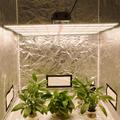 Lâmpada de cultivo LED vertical para plantas de interior